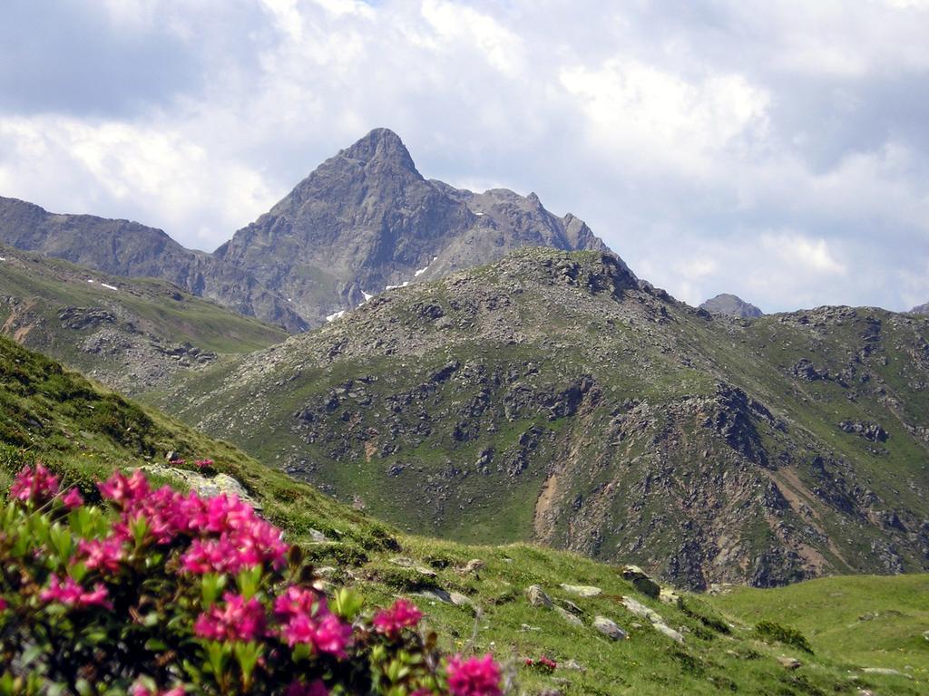 Pension Stoffler Sankt Veit in Defereggen Kültér fotó